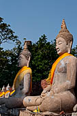 Ayutthaya, Thailand. Wat Yai Chai Mongkhon, saffron-draped Buddha statues inside the temple compound. 